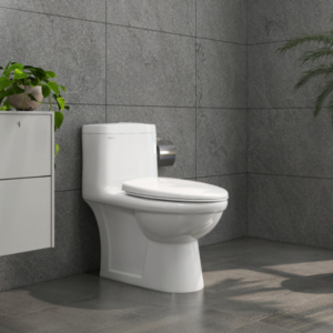 Bàn cầu một khối BL5